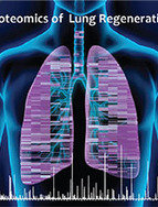 How the lung repairs its wounds | Max Planck Institute of Biochemistry