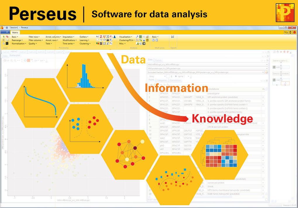 Perseus translates proteomics data | Max Planck Institute of Biochemistry