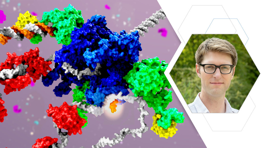 Forschungsgruppen | Max-Planck-Institut Für Biochemie