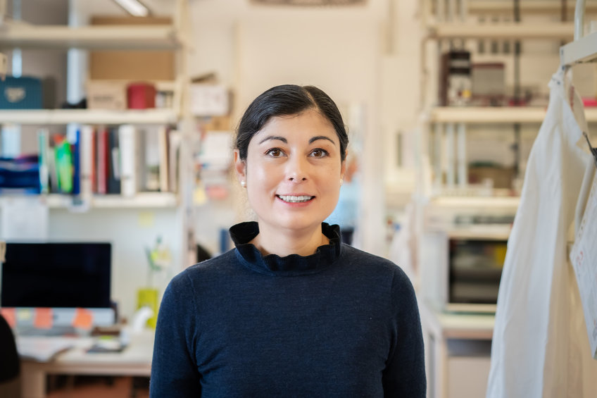 Prof. Kikuë Tachibana, PhD Prof. Kikuë Tachibana, PhD